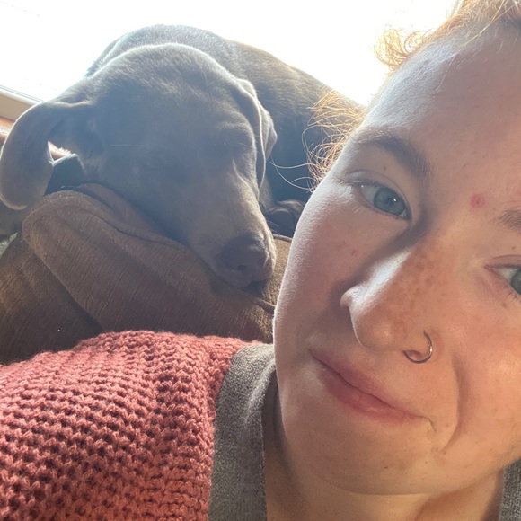 Meet your Posher, Abigail - Picture 5 of 6